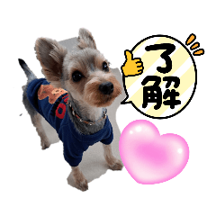 yamazaki_20240212144904