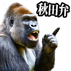 Gorilla in Akita dialect