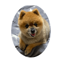 SAKURA_20240212172659