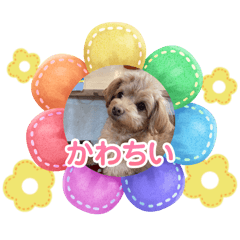 mokatankawaii