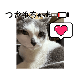 sayuri_20240213104959