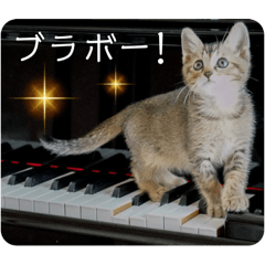 テヌレオポン子猫ポンチキ音楽家Ver.