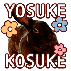 YOSUKE/KOSUKE