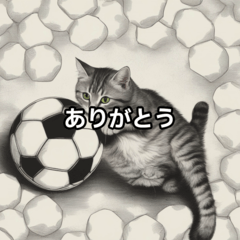 猫とサッカーボール