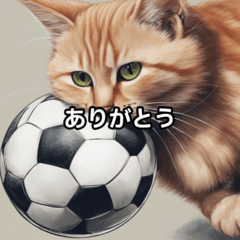 猫とサッカーボール２