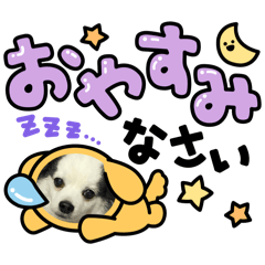 suzu_20240213143329