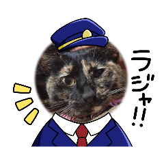 suzu_20240213160823