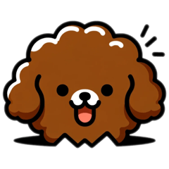 brwon dog Toy poodle