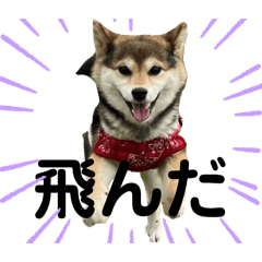 hona_20240213163620
