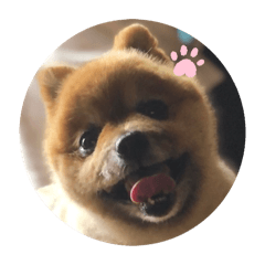 SAKURA_20240213172810