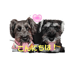 kika_20240213174124