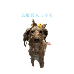 kumako2019