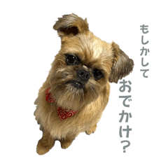 kankuro_20240213175318