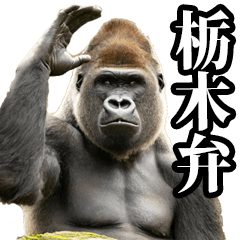 Gorilla in Tochigi dialect