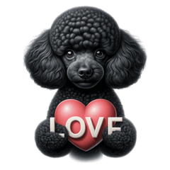 Black toy poodles are made of love.