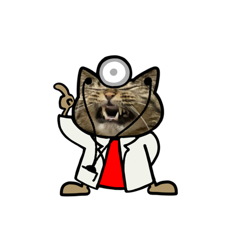Kijitora Cat Pop-up (Cat Cat Cat)