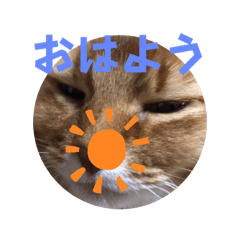 nao_20240213200003