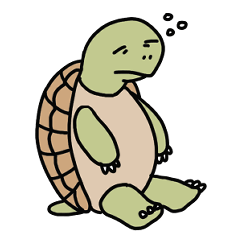 Pesu the turtle
