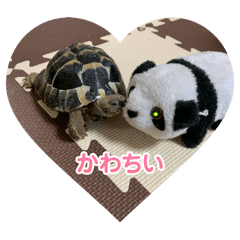 junko_20240214112005