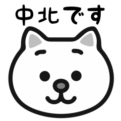 Nakakita cats sticker
