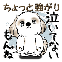 シーズー犬 『ちょっと強がり』もんね星人 - LINE スタンプ | LINE STORE