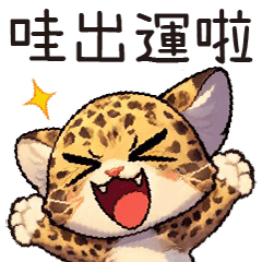 Meow Meow Daily: The Leopard Cat