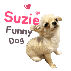 Suzie Funny Dog
