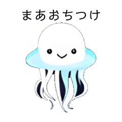 Jellyfish jp