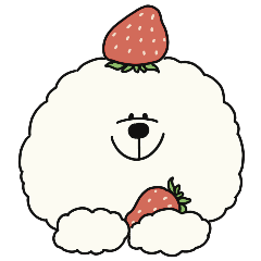 fluffy dog Bichon Frise spring