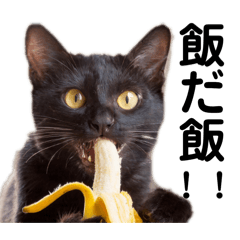 黒猫バナナんでぃ