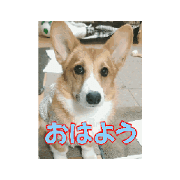 namihuku_20240215005923