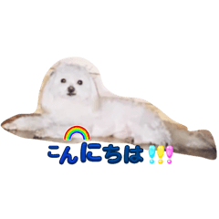 yuka_20240213091028
