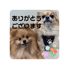 kana_20240214191323