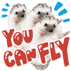 Hedgehog pop funny sticker