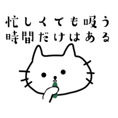 sakura_20240214221258