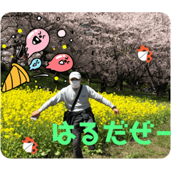 Sakura_20240215142555