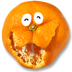 Funny oranges of real photo by Japanese2