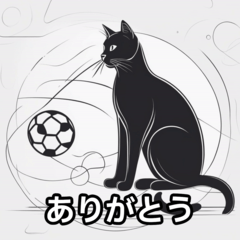 猫とサッカーボール002