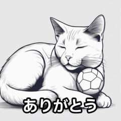 サッカーボールと猫001