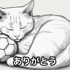 サッカーボールと猫002