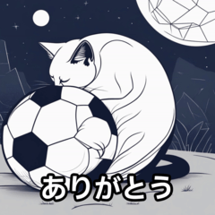 猫とサッカーボール004