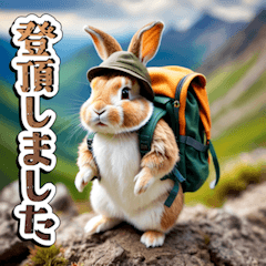 hiking Rabbit
