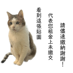 貓房東蛋黃的官方用語