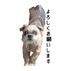 big Fortune_20240215224603