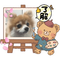 ポメラニアンイヴ2