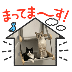 kana_20240215231219