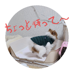 fukup_20240215222517