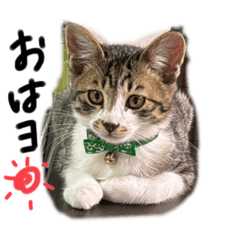 N@tsuk!_20240216022915