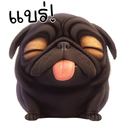 Tuadum Pug black dog