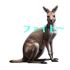 kangaroo.